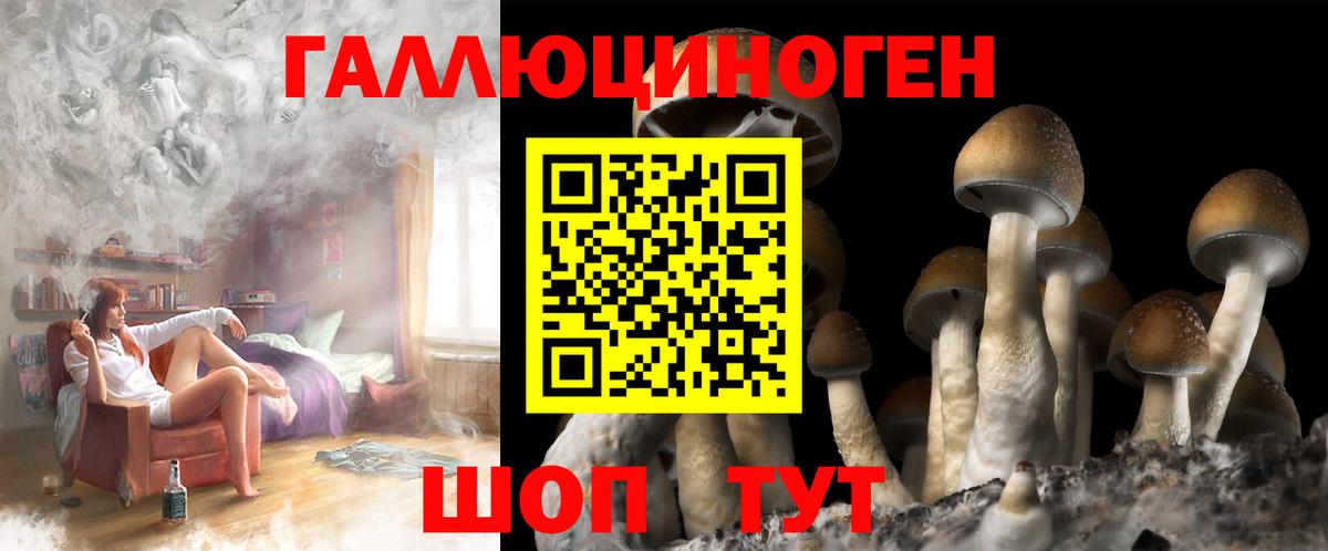 Псилоцибиновые грибы MAGIC MUSHROOMS Ульяновск