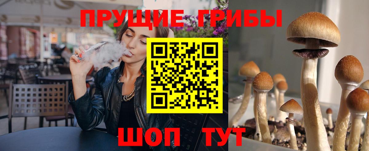 Ульяновск  Псилоцибиновые грибы Psilocybe  Вход с VPN  Псилоцибиновые грибы мицелий 